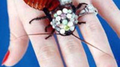 Британский ювелир сделал украшения... с живыми тараканами