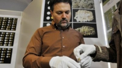 Инвесторы завалили работой чеканщиков золотых монет