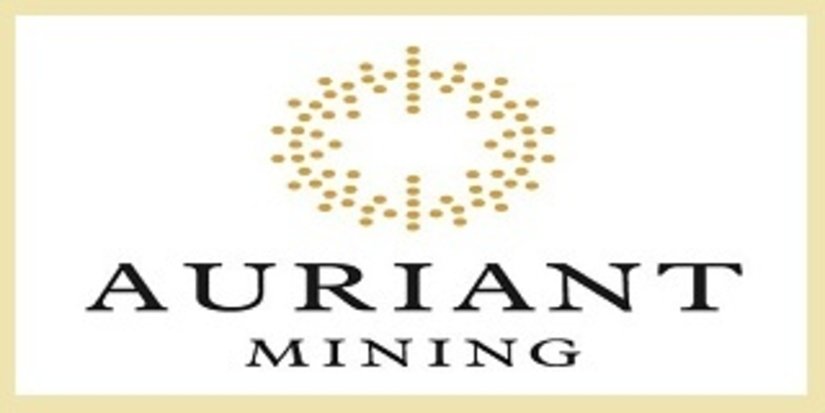 Auriant Mining завершила год снижением золотодобычи
