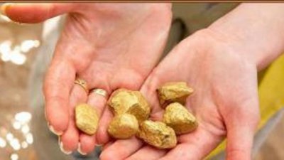 Якутнедра продало с аукциона 3 месторождения россыпей