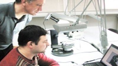 В России создан Национальный институт независимой экспертизы