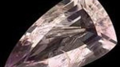 Бирманская находка по фамилии Poudrette