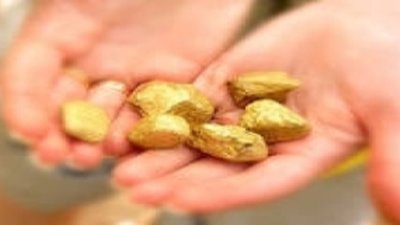 Росгеология будет искать золото и серебро в Приморье