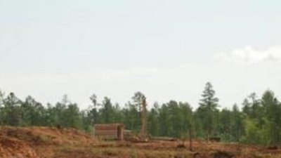 "Селигдар" возрождает российское производство олова