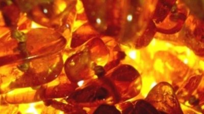 Минэкономики России предлагает усилить контроль за экспортом янтаря