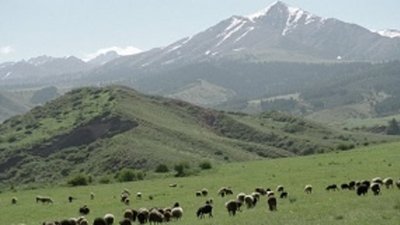 Борьба за «Джеруй» продолжится без Polyus Gold