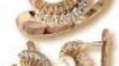 Штрафы за нарушения производства ювелирных изделий