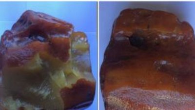 На карьере Калининградского янтарного комбината найден самородок янтаря весом 2100 грамм