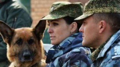 Житель Забайкалья получил срок за попытку провоза золота через границу