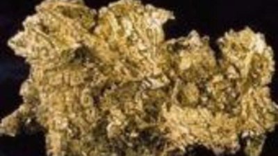 На Урале предотвращена распродажа коллекции золотых самородков