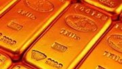 Золотая клетка для инвестора