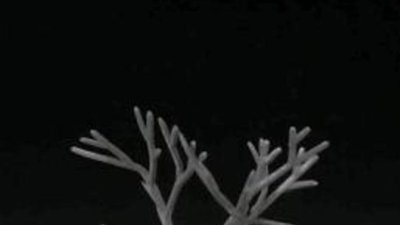 Ювелир Сара Худ, хочет приблизить человека к природе