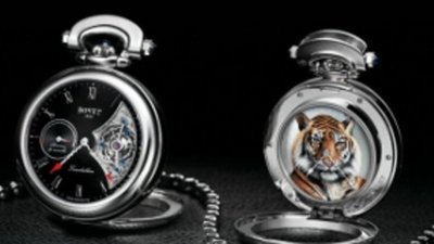 Вор-альпинист украл у немецкого топ-менеджера коллекцию часов