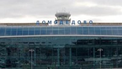 В Домодедово пойманы контрабандисты