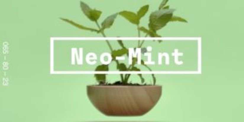 Neo Mint — цвет 2020 года
