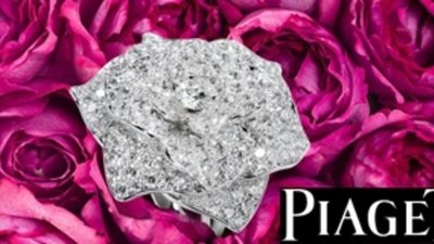 Мир отмечает День розы Piaget