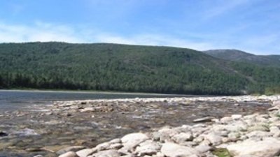 Завтра Приангарье «разыграет» четыре золотоносных участка