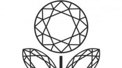 Перспективы группы компаний «ЭПЛ Даймонд»