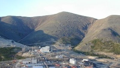 Итоги золотодобычи Trans-Siberian Gold впечатляют