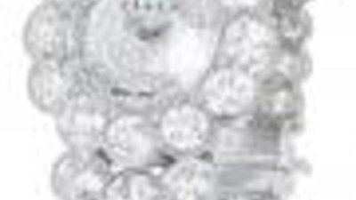 Бриллиантовый шедевр LadyGraff