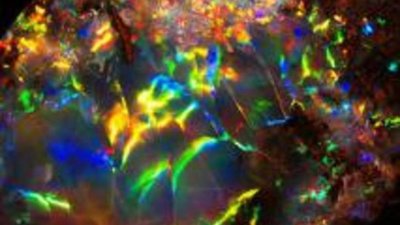 В чем встретить Год Дракона?