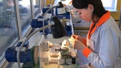 Время считать камни. Как будут бороться с «копателями» янтаря