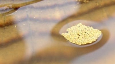 В январе добыча и производство золота в РФ увеличились на 19,2%