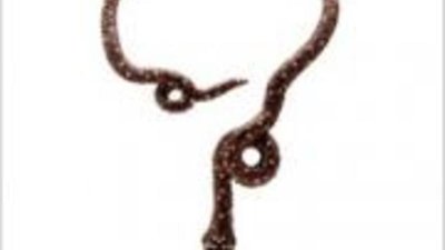 Шоколадное колье выставят на продажу за 1 млн. долларов