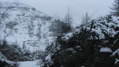 На аукционах реализованы два золотоносных колымских участка