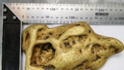 Старатели нашли самородок «Ухо дьявола»