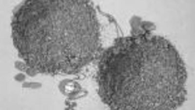 В США началось расследование махинаций на рынке серебра