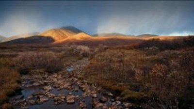 Добыча золота на Чукотке снизилась