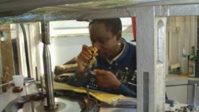 Огранщики алмазов в Намибии требуют повышения заработных плат