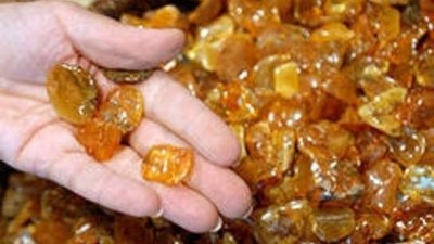 Янтарный комбинат награжден за развитие благотворительности