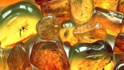 Для Калининграда написали «янтарную программу»