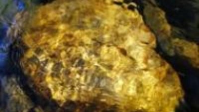 Пресечена контрабанда крупной партии промышленного золота