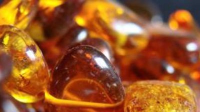 Счетная палата предлагает отсечь перекупщиков янтаря