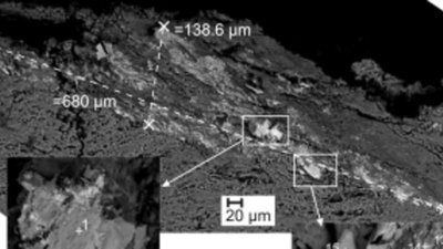 Дальневосточные ученые впервые обнаружили видимое золото в железомарганцевых корках Тихого океана