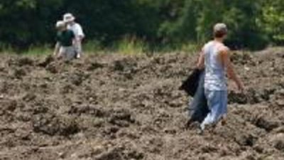 В США алмазы находят в парках