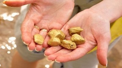 Солидным приростом золотодобычи завершила Иркутская область 11 месяцев