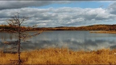 Сахалинским золотом займутся петербургские геологи
