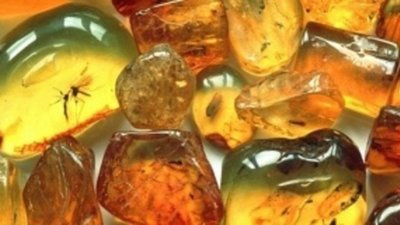 Литовцы будут добывать янтарь сами из-за прекращения поставок из Калининграда