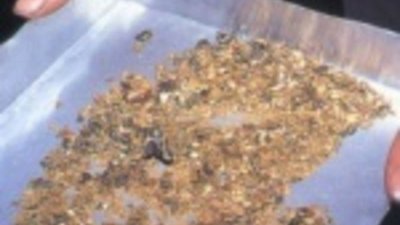 Тенькинские горняки пока остают от намеченного плана по добыче золота