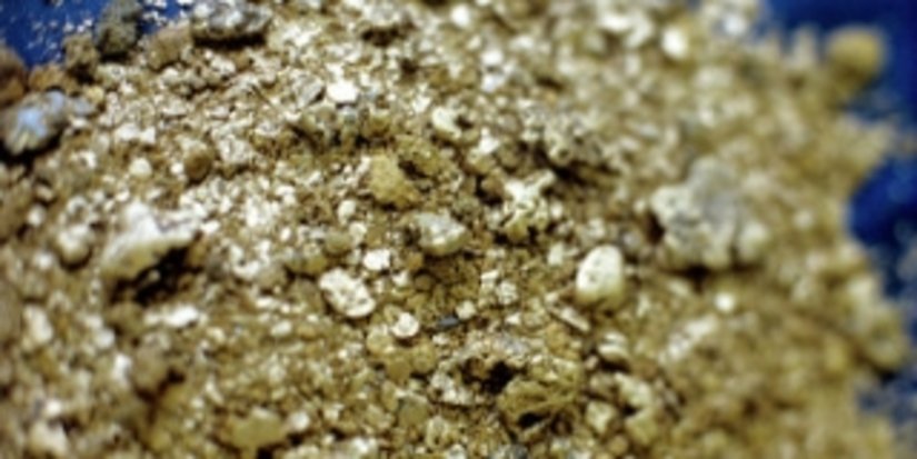 Кострома войдет в сегмент золотодобытчиков
