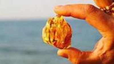 Сокровища нации