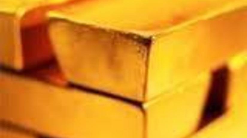 Пять слитков золота изъяли амурские полицейские у жителя Приморья