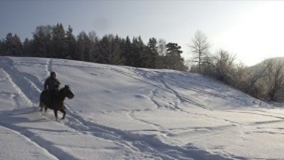 Кому достанутся Ахмеровские алмазы?