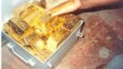 Московский участок россыпного золота выставят на аукцион