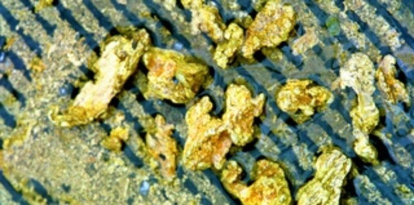 ГК "Майская" намерена добыть 1,2 т золота