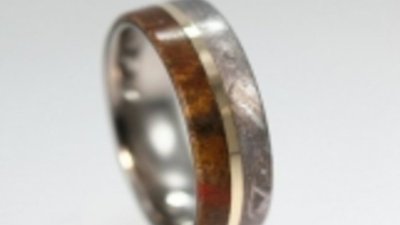 Кольцо Юрского периода